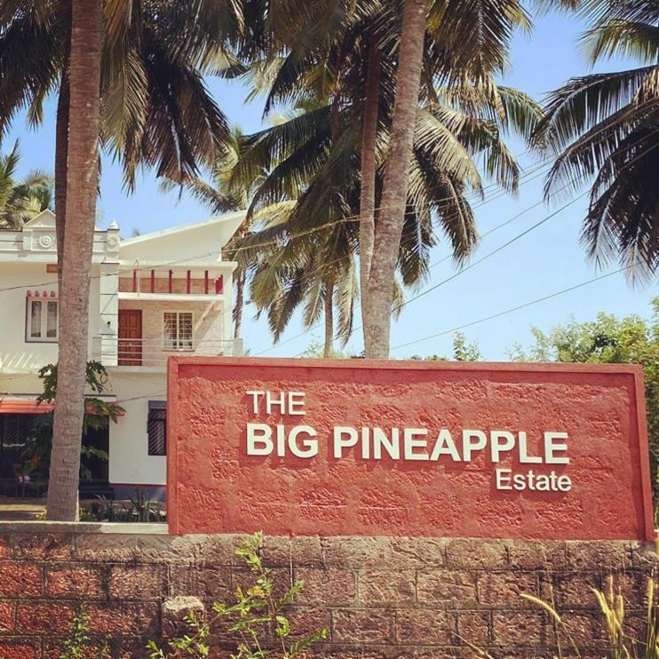 The Big Pineapple Estate Villa Udupi Exterior foto